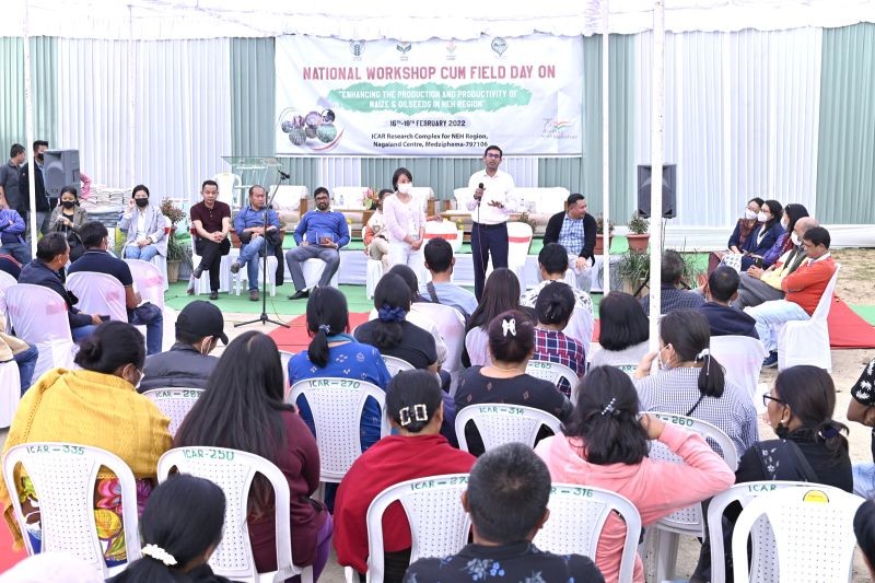 Farmers-scientists interaction underway during the national workshop cum field day on ‘enhancing the production and productivity of maize and oilseeds in NEH region’ held from February 16 to 18.